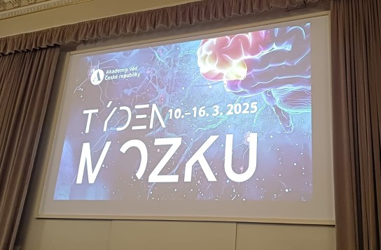týden mozku 2025 b
