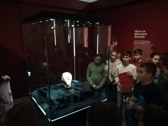 Výstava Keltové IX