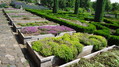Bylinná zahrada Botanicus