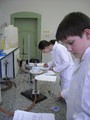 CHO_2012_4