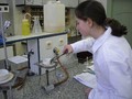 CHO_2012_6