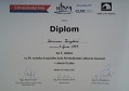 Diplom D. Tanglové z KK SOČ 2017