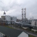 Dobrovice 4
