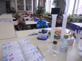 EKODEN 2013