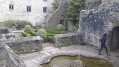 Elisabeth garden