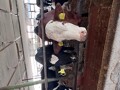 Farma Kamenné Zboží