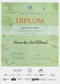 KK GeO 2024 - Diplom V. Košťálové KK GeO 2024 - Diplom V. Košťálové