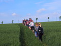 Krásesnko BiS 2017