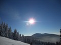 LVVZ 2013