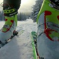 LVVZ 2017