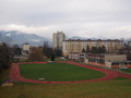 Martin 2015