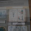 Muzeum knihy 2