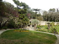 Nimes