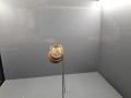 NM_Nejstarší razítko z roku 1818 NM_Nejstarší razítko z roku 1818
