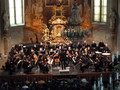 orchestr FOK