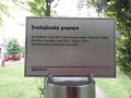 PDY 6
