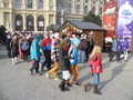 Vídeň 2013