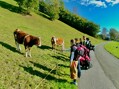 zlatá expedice 25 Kaprun zlatá expedice 25 Kaprun