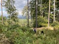 Zlatá expedice 26 Trojmezí