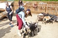 ZOO Chleby