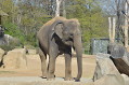 zoo praha 2