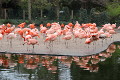 ZOO Praha 2023