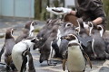 ZOO Praha 2023