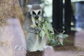 zoo praha