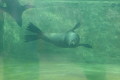 zoo praha