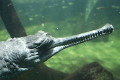 zoo praha